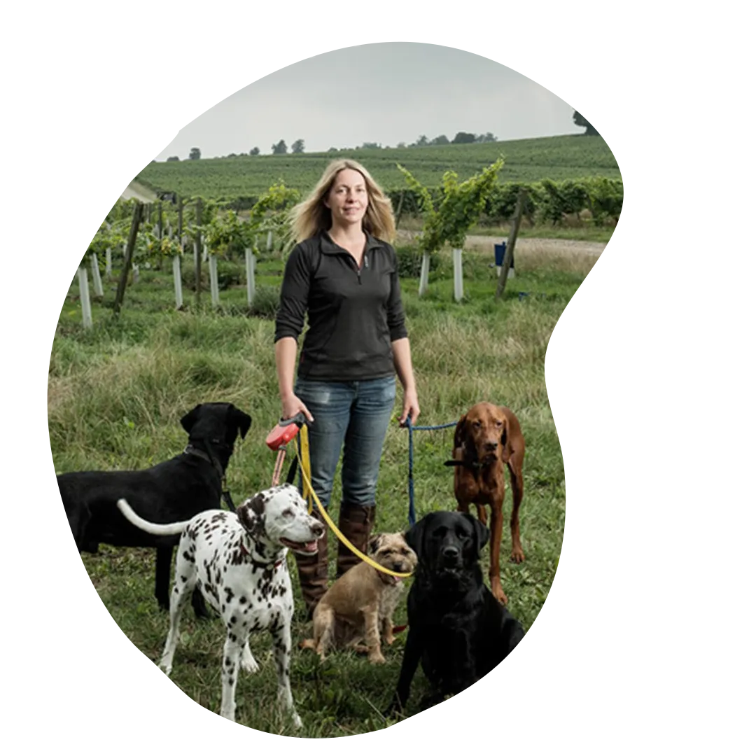 Claire Murdoch standing in a field with five dogs of all different breeds on leads.