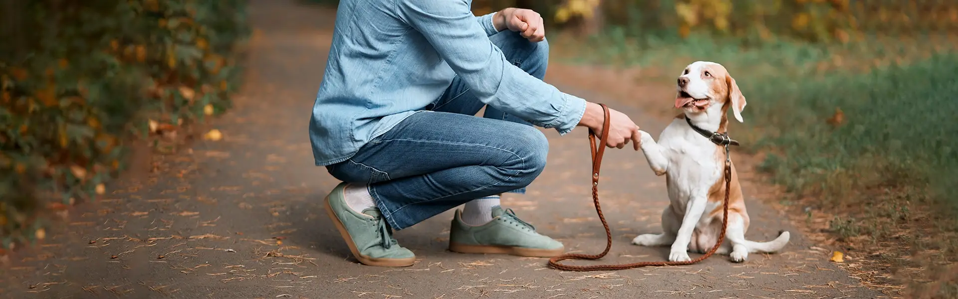 Man teaching his dog to greet on a footpath, by kneeling down beside him and holding paw.